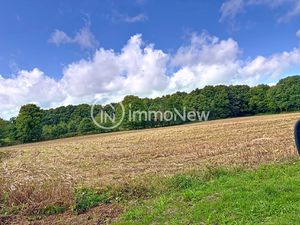 BELLE PARCELLE AGRICOLE LABOURABLE 35020 M2