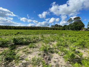 Vente terrain 829 m² à Lit-et-Mixe (40170)  158 000 €