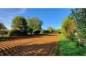 Vente Terrain à Thiré (85210) : à vendre / Thiré