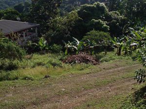 A vendre terrain avec une faible pente  idéal pour un plain-pied