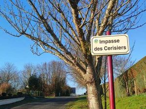 Vente Terrain à Saint-Loup (50300) : à vendre / Saint-Loup