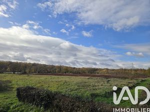 Vente Terrain 31 254 m²