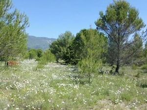 Beau terrain constructible au pied du Luberon