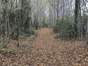 Vente Terrain 405 918 m²