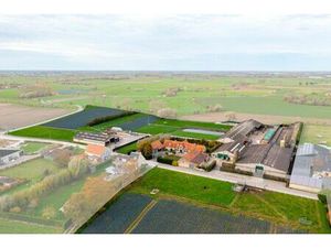 Groot vleesveebedrijf te koop te Diksmuide