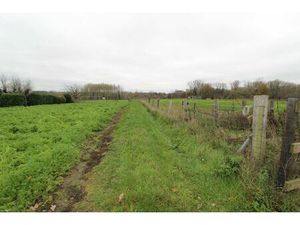 Asbeek: achtergelegen weide