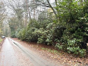 Grond te koop in Schilde