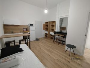 Location Appartement 1 pièce 21m² LILLE 59800