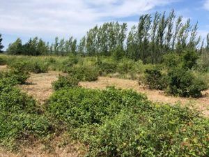 Vente maison 1900 m² Saint-Hilaire-d'Ozilhan (30210)