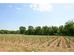 Vente terrain 515 m² Cérons (33720)