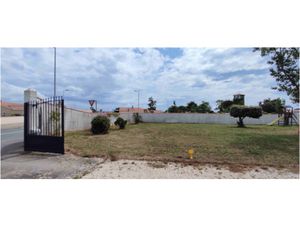 Terrain - 350 m²