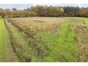 Terrain agricole à vendre à Moleneinde Lille (RBU77989)