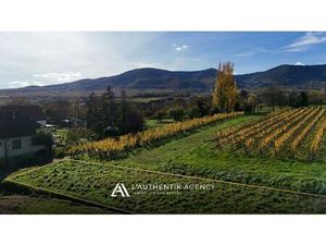 Terrain à vendre Bernardswiller