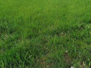 Vente Terrain à Mellac (29300) : à vendre / Mellac