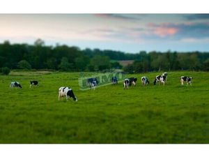 en vente Terrain non constructible 16 500 m² – 37 000 € |Tincques