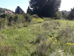 en vente Terrain constructible 8 36 ares – 312 212 € |Brunstatt