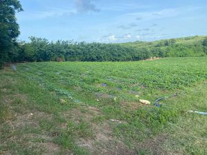 Vente terrain 2000 m² à Le vauclin (97280)  275 000 €