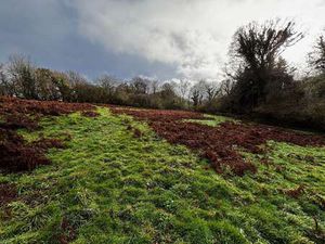 Vente Terrain à Bellou-en-Houlme (61220) : à vendre / 18830m² Bellou-en-Houlme