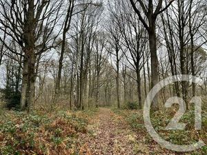 Terrain à vendre - 420000 m2 - Orbec - 14 - BASSE-NORMANDIE