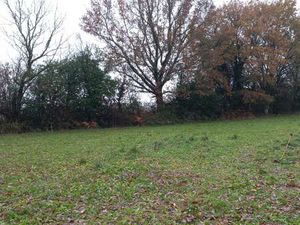 Vente Terrain à Saffré (44390) : à vendre / Saffré