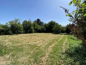 Vente Terrain à Liez (85420) : à vendre / Liez