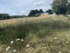 Terrain constructible viabilisé à vendre