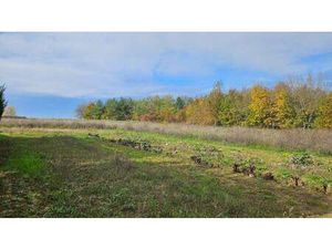 Terrain constructible viabilisé à vendre