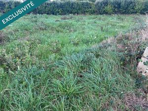 Terrain constructible viabilisé à vendre