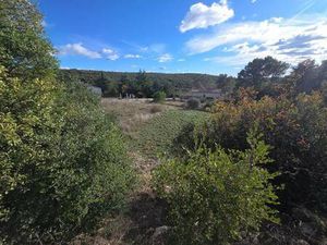 TINNIRELLO Rémy Capifrance