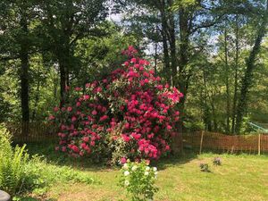 SAFTI BOUDAT Virginie conseiller indépendant