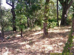 Vente terrain 1200 m² Les Mayons (83340)