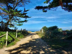 Vente Terrain à Notre-Dame-de-Monts (85690) : à vendre / Notre-Dame-de-Monts