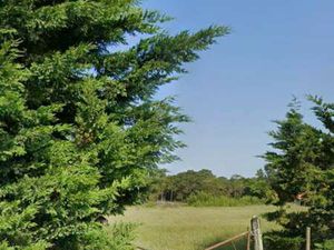 Vente Terrain à Notre-Dame-de-Monts (85690) : à vendre / Notre-Dame-de-Monts