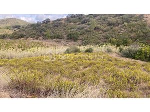 Vente terrain 4685 m² à Maury (66460)  5 500 €