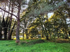 Vente terrain 840 m² à Saint-Sauveur (33250)  54 000 €