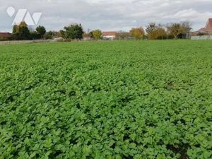 Vente terrain à batir 1895 m² à Le Quesnel (80118)  66 000 €