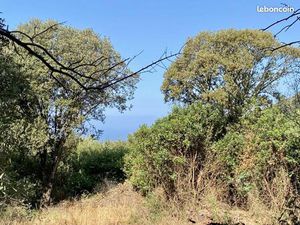 Terrain 7 644 m² Olmeto