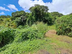 Vente terrain 2167 m² à Fort de france (97200)  350 000 €