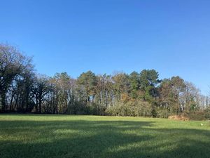 Vente terrain 12500 m² à Camors (56330)  271 116 €