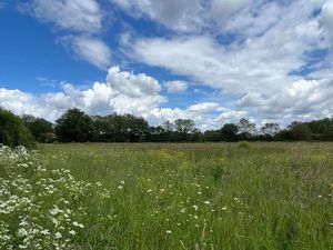 Vente terrain 524 m² à Sainte-Soulle (17220)  169 000 €