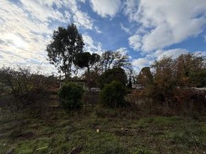 Vente terrain 1552 m² à Opio (06650)  645 000 €