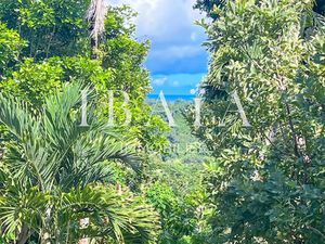 Vente terrain 14466 m² à Petit bourg (97170)  400 000 €