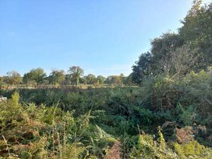 Vente Terrain au Hinglé (22100) : à vendre / Le Hinglé
