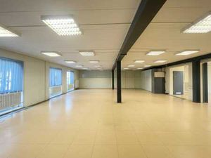 Local professionnel polyvalent