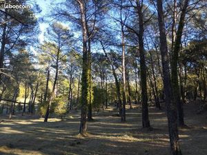 Très belle parcelle Boisée avec de nombreuses opportunités