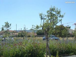 Terrain 257 m² Hyeres