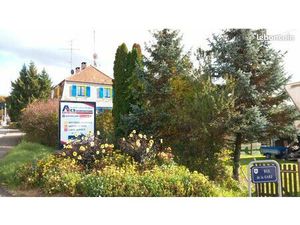 Maison jardin niche pour chien