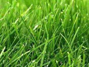 Vente Terrain à Noyal (22400) : à vendre / 761m² Noyal