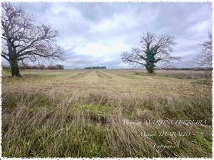 Terrain 760 m² – Marmagne (18500)