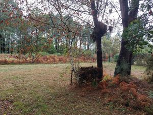 Terrain à vendre de 835 00 M2 BISCARROSSE (40)